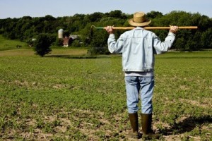 agricoltore-attivo-codice-ATECO