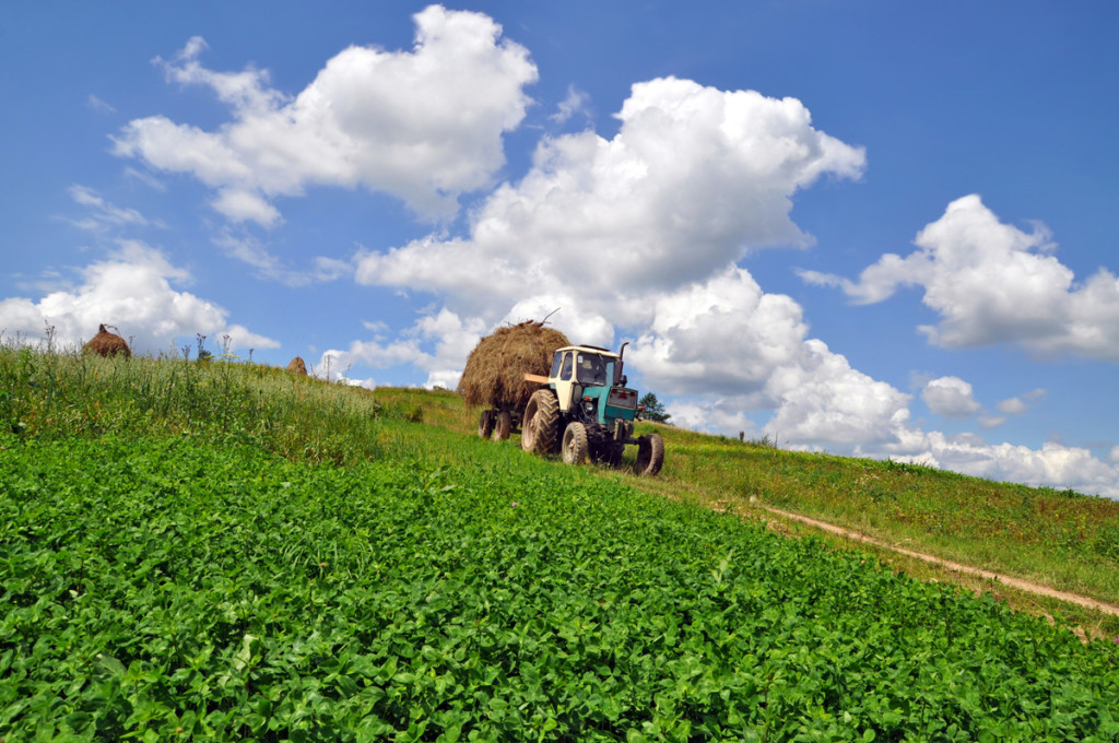 AGricoltura