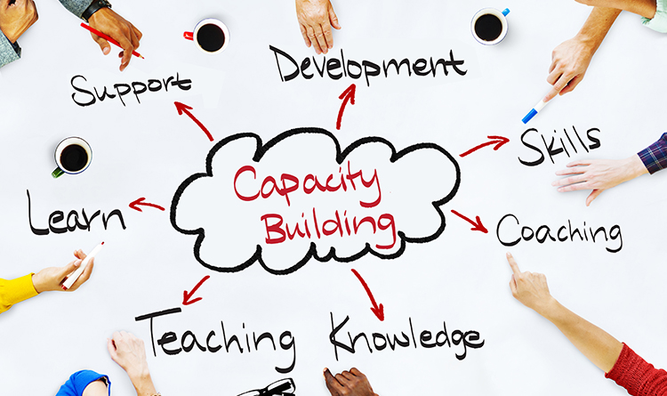 capacity building